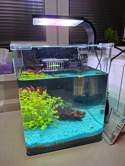 Dennerle akvarium 20l s krevetami nove