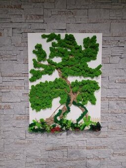 Machovy obraz na plátne