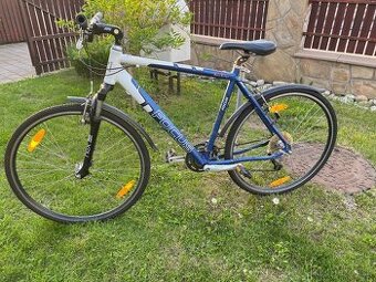 Pánsky bicykel FOCUS