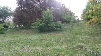 Pozemok - záhrada Velký Šariš - oblasť Kanaš
