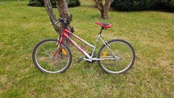 DEMA bicykel