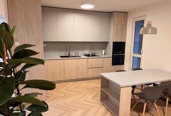 Na prenájom 2i. PET Friendly byt s parkovaním v Starom Meste
