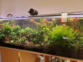 Akvarium