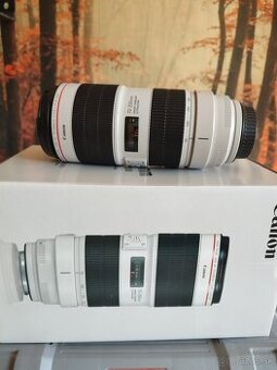 Canon EF 70-200mm f/2.8L IS III USM