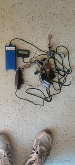 Parrot ck3100