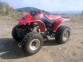 Honda TRX 250ex