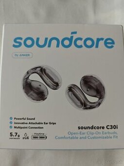 Soundcore C30i