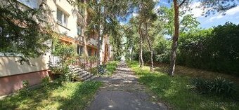 PNORF–priestranný 2i byt, 66 m2, 2x balkón, Vinohradská ul.