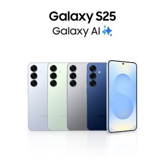 Samsung Galaxy S25 512gb