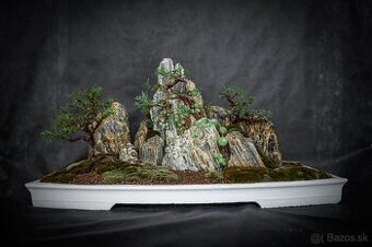 Bonsai Krajinka v bielej miske 78x38cm