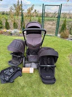 Easywalker Harvey3 surodenecky kocik