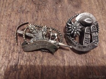 Horské turistické odznaky