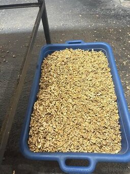 VLAŠSKÉ ORECHY LÚPANÉ TOHTOROČNÉ