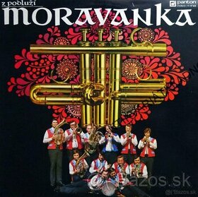 LP a SP Moravanka,Mistříňanka,V:Špinarová,J.Suchý,Kamelie