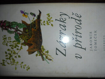 ZÁZRAKY V PŘÍRODĚ