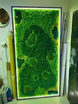 Machový obraz s podsvietením