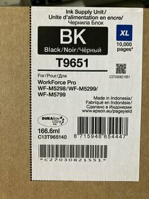 Epson T9651