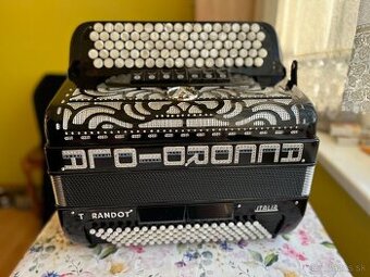 Accordiola