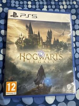 Hogwarts Legacy PS5 - 1