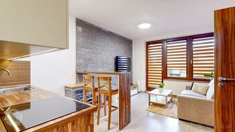 Apartmán s predzáhradkou a výhľadom na Tatry – Veľká Lomnica