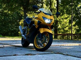 Honda CBR600 F4 (2000) – plne dokončený projekt / bez TP - 1