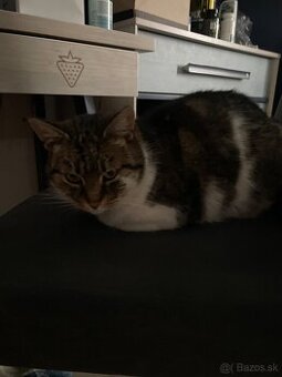 Darujem do dobrych ruk