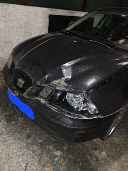 SEAT IBIZA = STRET SO ZVEROU