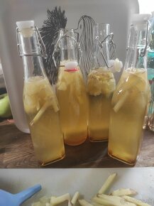 Kombucha