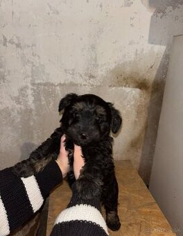 Darujem fenku - zadarmo