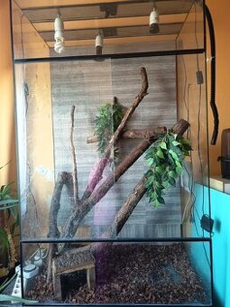 Predám terárium + vyrobnik vodnej pary