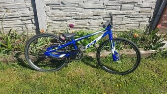 BMX GT mini