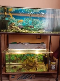 Akvarium