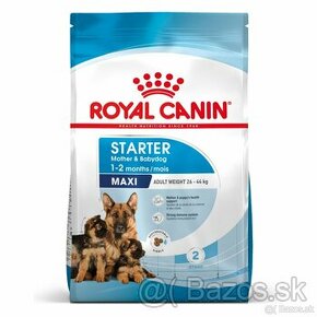 Royal Canin Starter Mother&Babydog Maxi 4 kg