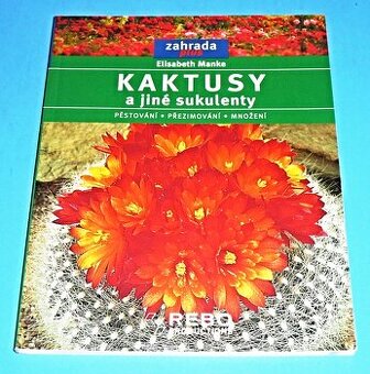 kaktus