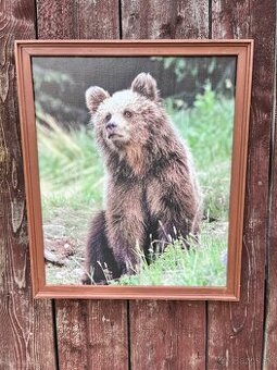Živé Obrazy - Fotografia na platne