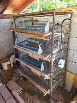 Klietka na prepelice