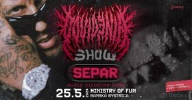 SEPAR - VIP - 25.05.2024 - MINISTRY of FUN