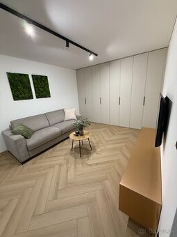 prenájom krásneho nadštandardne zariadeného 1 -izbového bytu