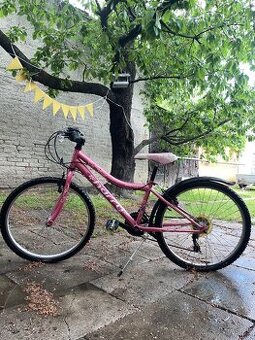 Bicykel