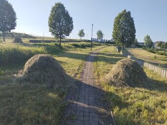 Seno v BIO kvalite z kvetnatej lúky vo Zvolene