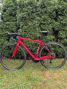 Canyon Endurace AL, S