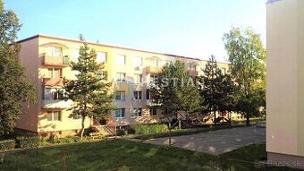 Slnečný 2-izbový byt na prenájom Senica