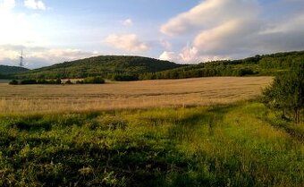 Bunetice - 2.900 m2 ORNÁ PôDA