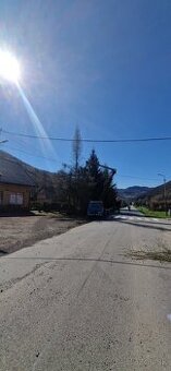 Rizikovy vyrub stromov