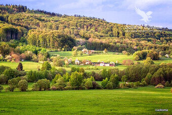 Predaj pozemku v obci Stará Huta s rozlohou 29 000m2