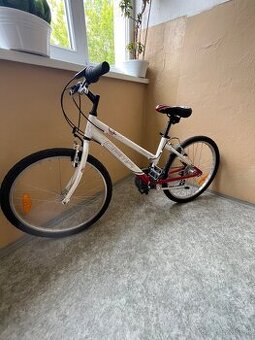 Detský bicykel Dema Pegas