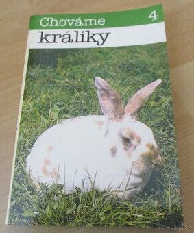 Chováme králiky - 4