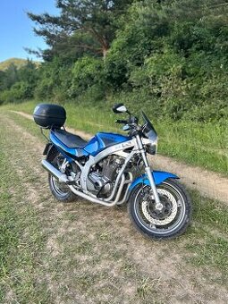 SUZUKI GS500E