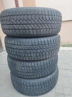 225/60 R17 Zimne