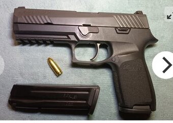 Sig sauer-smith wesson